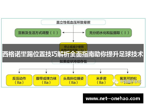 西格诺里踢位置技巧解析全面指南助你提升足球技术