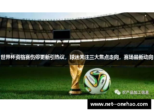世界杯资格赛伤停更新引热议，球迷关注三大焦点走向，赛场最新动向