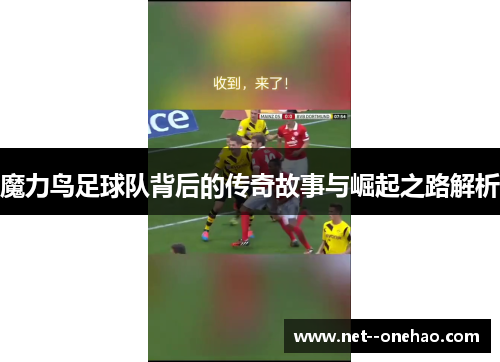 魔力鸟足球队背后的传奇故事与崛起之路解析