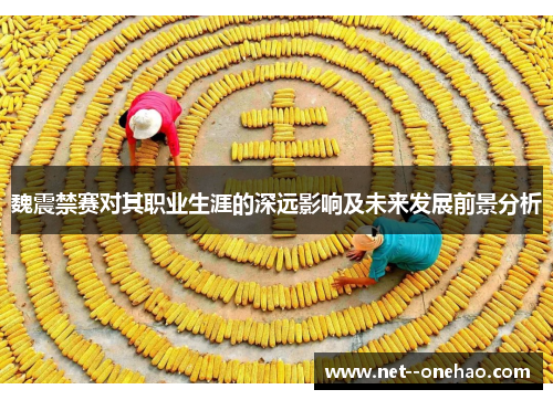 魏震禁赛对其职业生涯的深远影响及未来发展前景分析